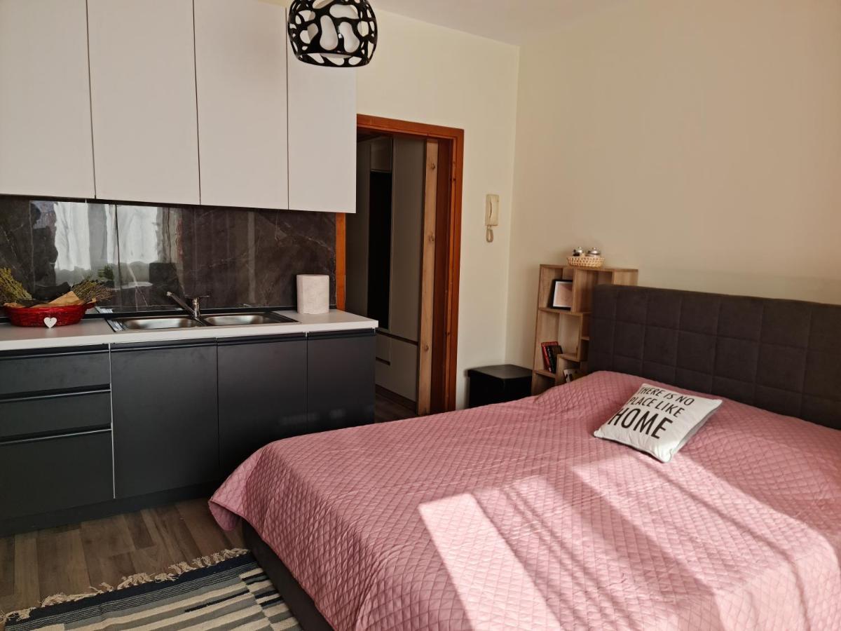 Lovely One Bedroom Studio In ติรานา ภายนอก รูปภาพ